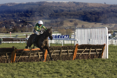 Cheltenham 2025 Champion Hurdle Betting Offices & Tips